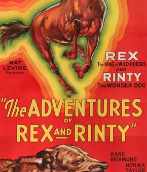 Adventures of Rex and Rinty (1935) Supply