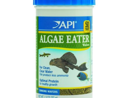 API - Algae Eater Wafers - 1.3 oz. (37 g) Online now